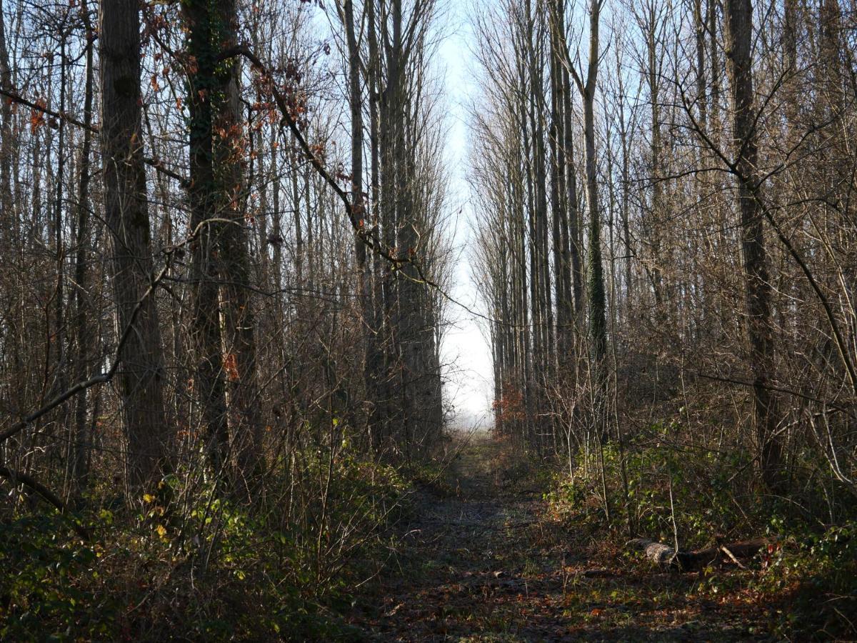 La Cabane Du Chasseur Flines-Les-Mortagne Buitenkant foto