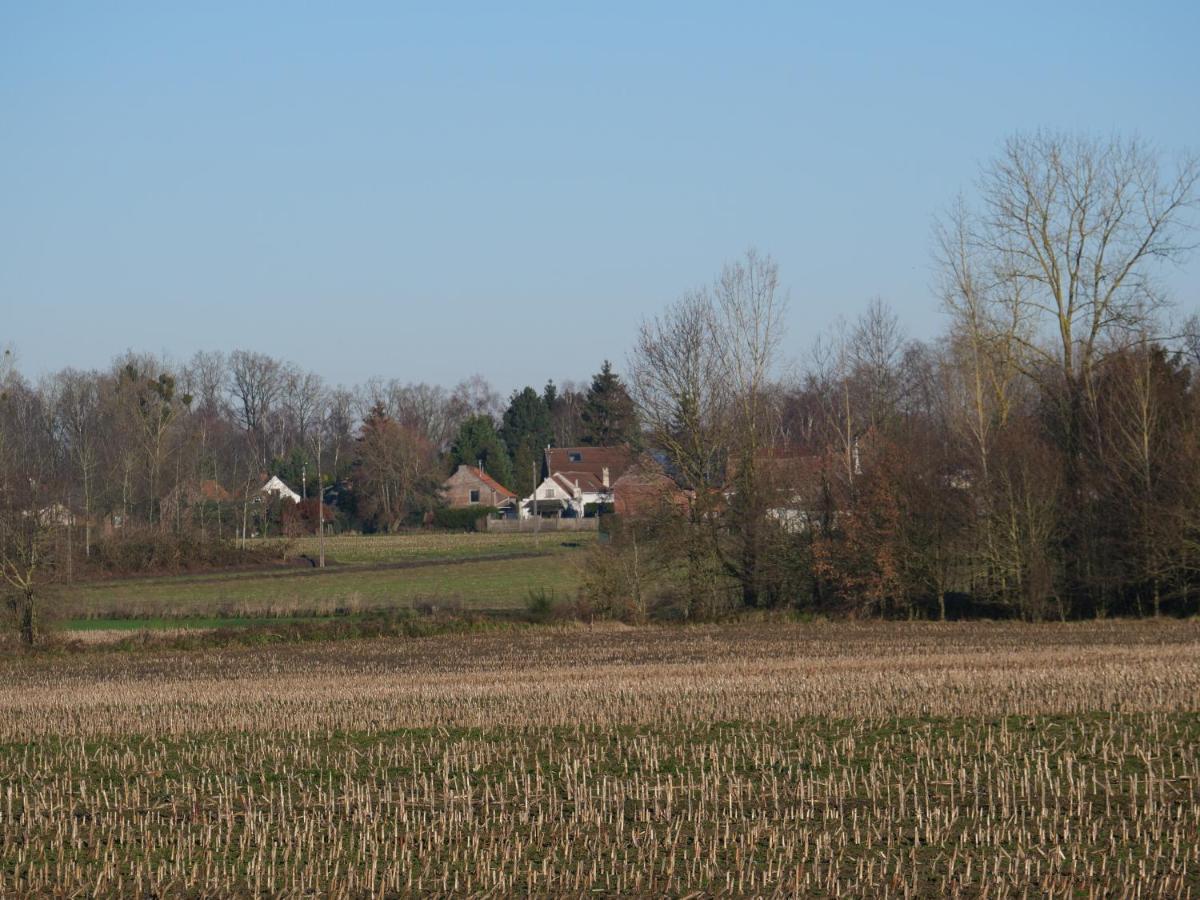 La Cabane Du Chasseur Flines-Les-Mortagne Buitenkant foto